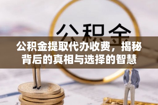 名间公积金提取代办收费，揭秘背后的真相与选择的智慧